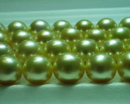 Perles des mers du sud dorées sélectionnées